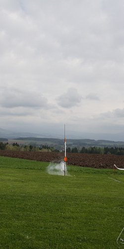 2013 Svojek Mirek Topinka